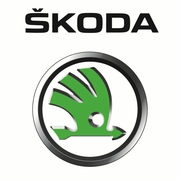 Оригинальные запчасти к SKODA опт и розница (Склад Наличие)